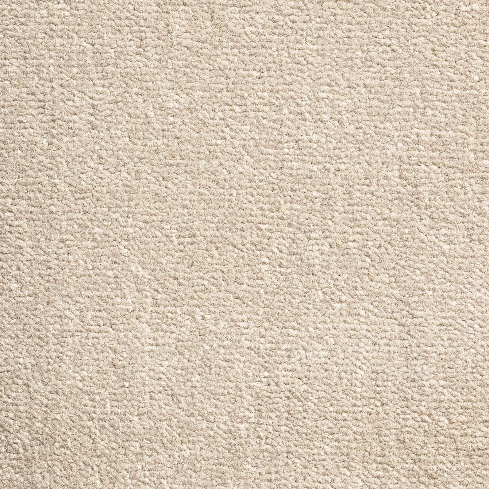Taupe 272 — Windsor Velvet carpet