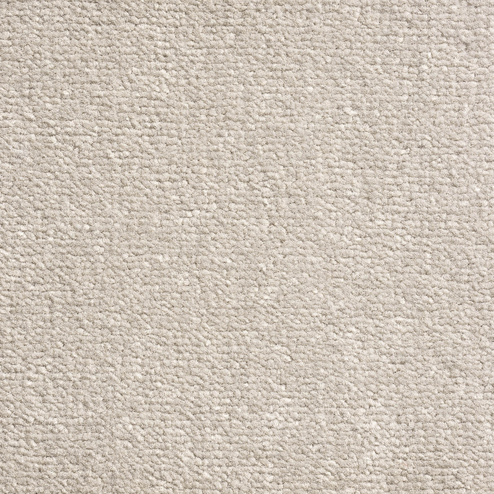 Pebble Grey 275 — Windsor Velvet carpet