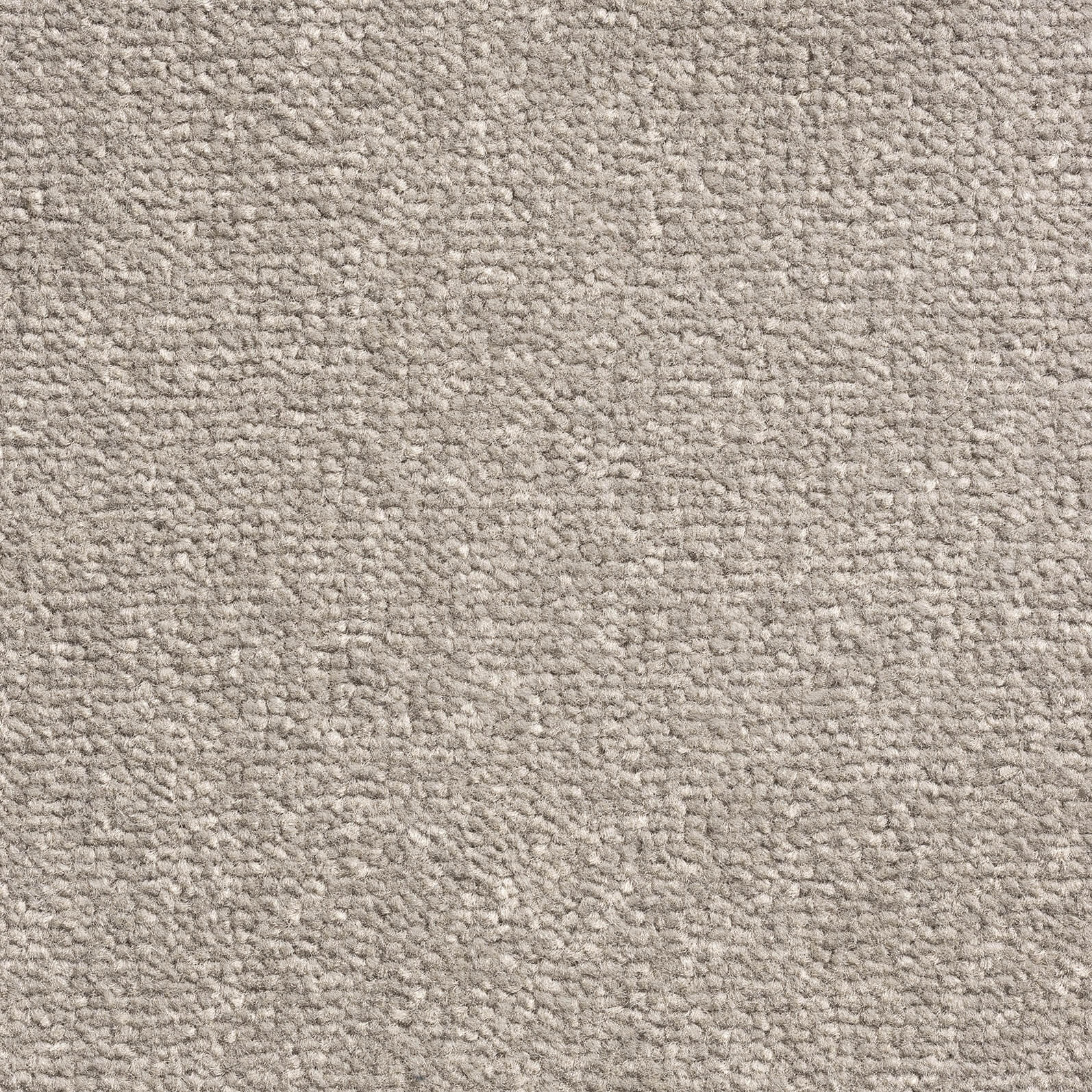 Provence Grey 276 — Windsor Velvet carpet