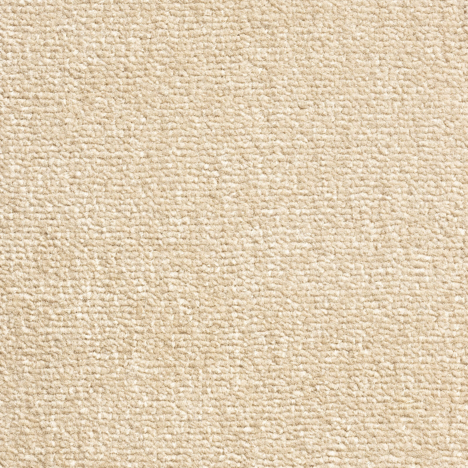 Roasted Almond 290 — Windsor Velvet carpet