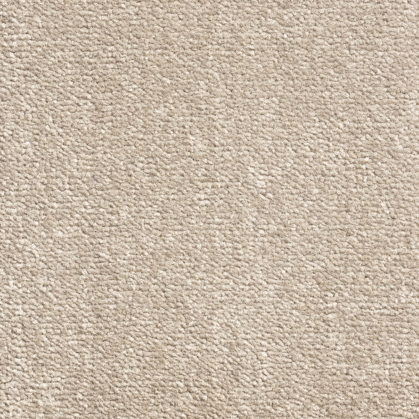 Moleskin 293 — Windsor Velvet carpet