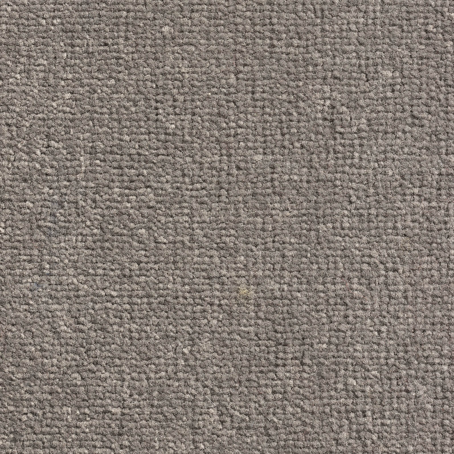 Elephant 377 — Windsor Velvet carpet