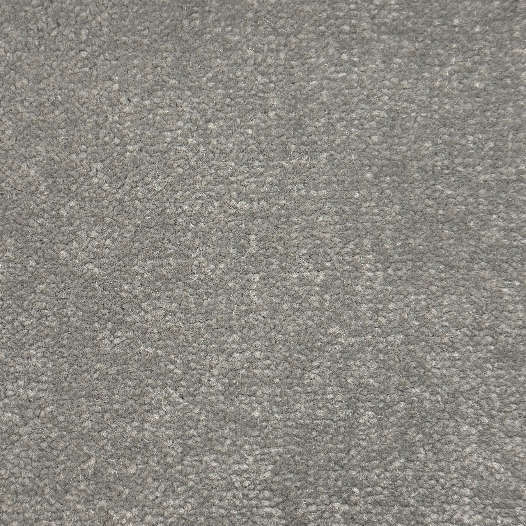 Windsor Velvet 561 — Windsor Velvet carpet