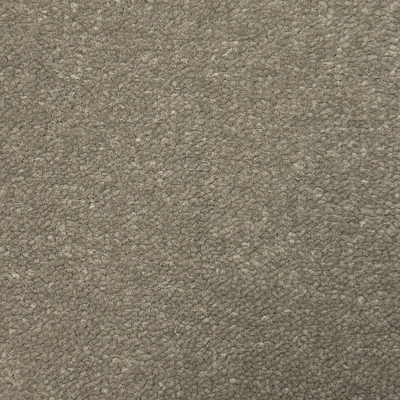 Windsor Velvet 562 — Windsor Velvet carpet
