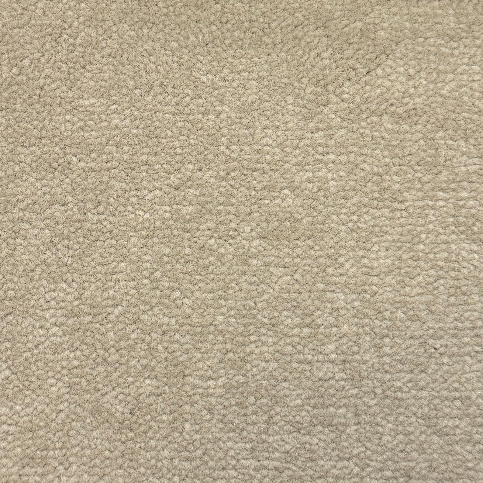 Windsor Velvet 568 — Windsor Velvet carpet
