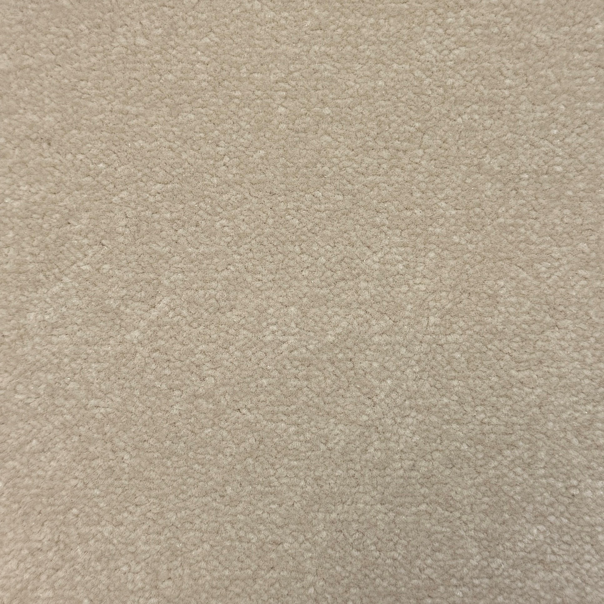 Windsor Velvet 569 — Windsor Velvet carpet