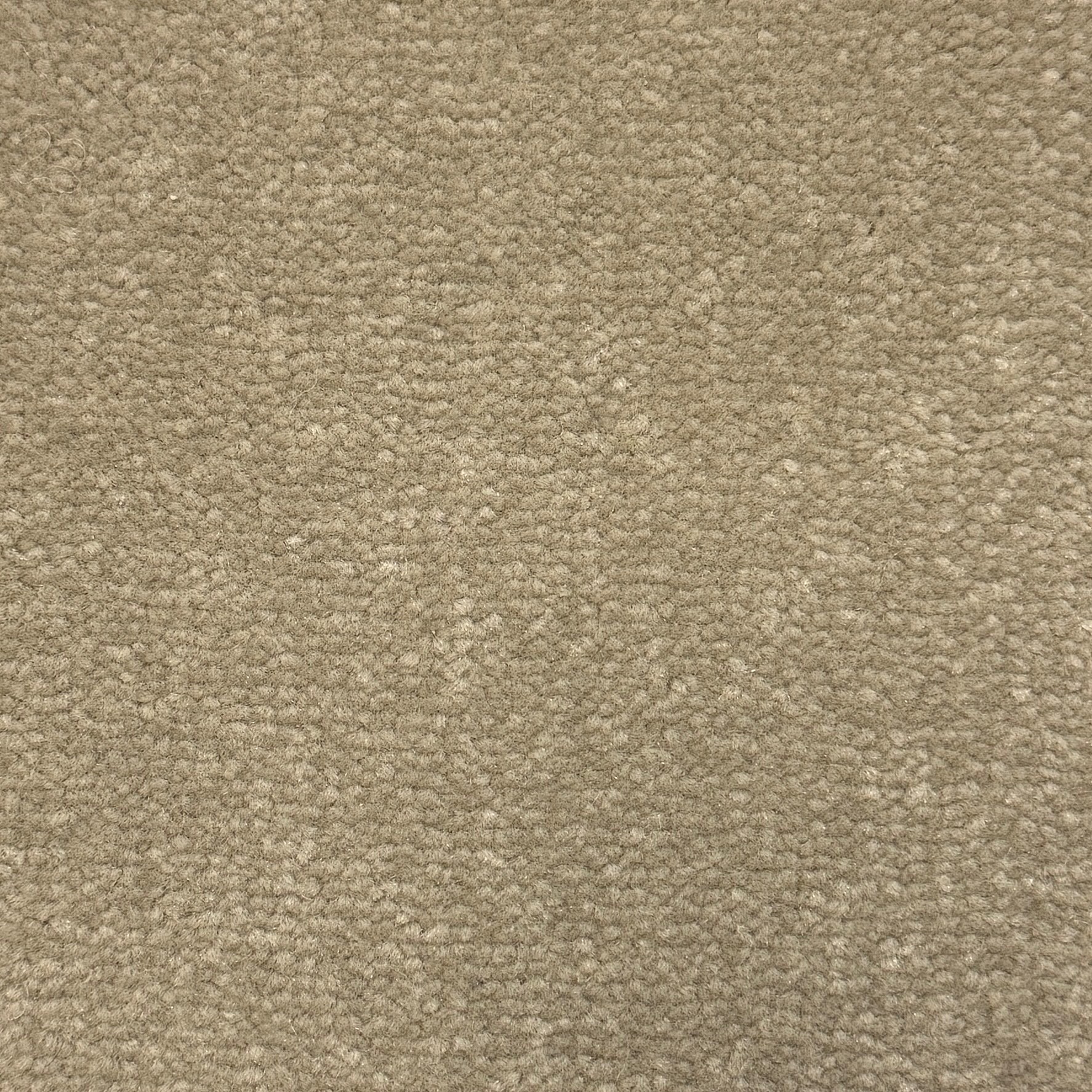 Windsor Velvet 571 — Windsor Velvet carpet